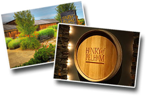 Henry of Pelham Estate Winery
